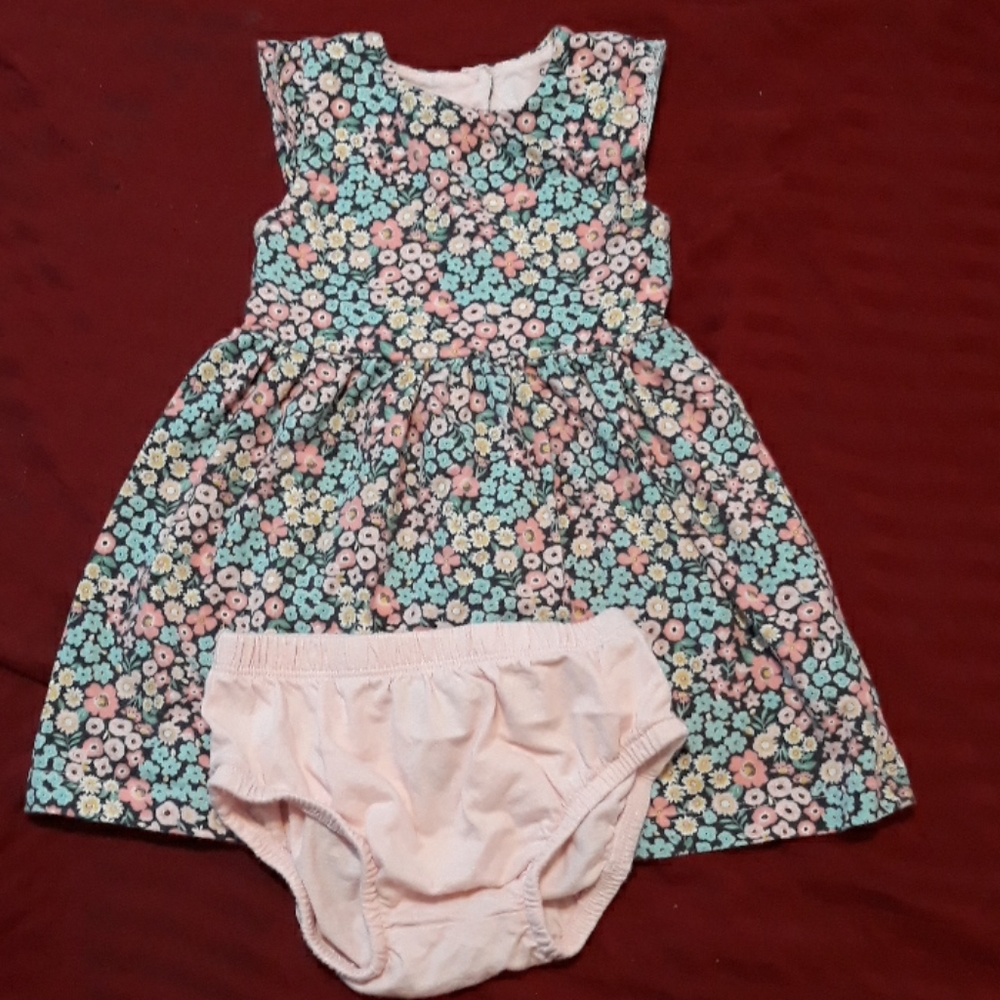 Carter's 12 month dresses